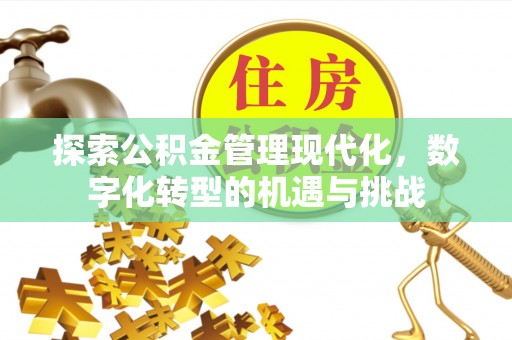 张店探索公积金管理现代化，数字化转型的机遇与挑战