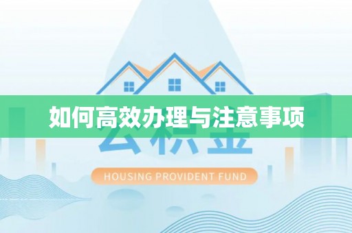 张店如何高效办理与注意事项
