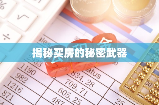 张店揭秘买房的秘密武器