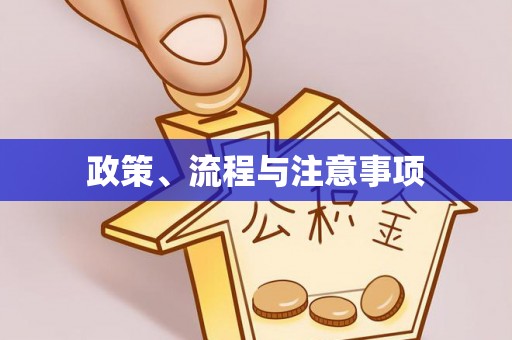 张店政策、流程与注意事项
