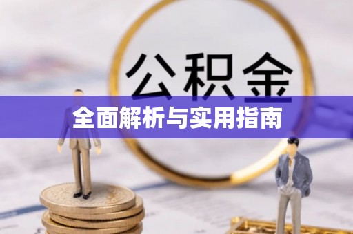 张店全面解析与实用指南