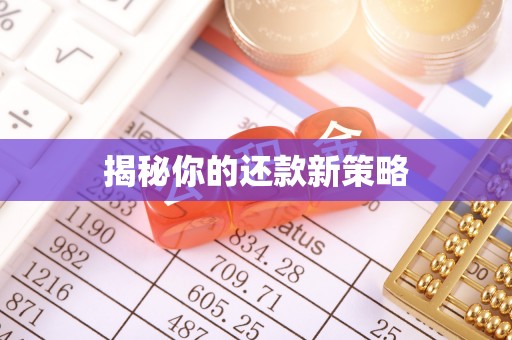 张店揭秘你的还款新策略
