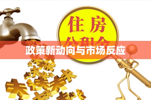张店政策新动向与市场反应