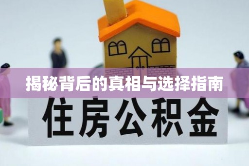 张店揭秘背后的真相与选择指南
