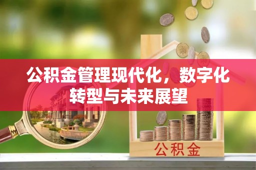 张店公积金管理现代化，数字化转型与未来展望