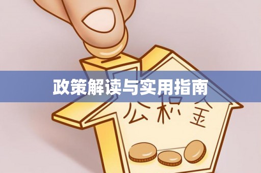 张店政策解读与实用指南