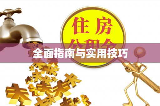 张店全面指南与实用技巧