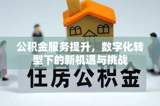 张店公积金服务提升，数字化转型下的新机遇与挑战