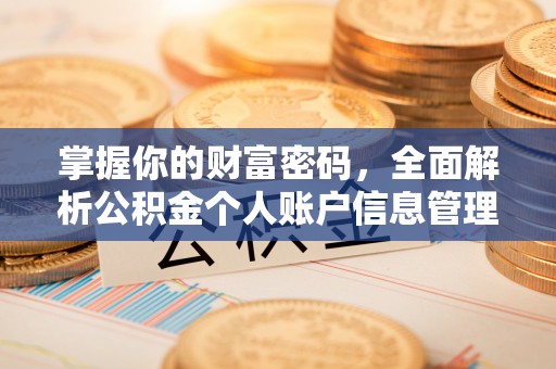 张店掌握你的财富密码，全面解析公积金个人账户信息管理与优化
