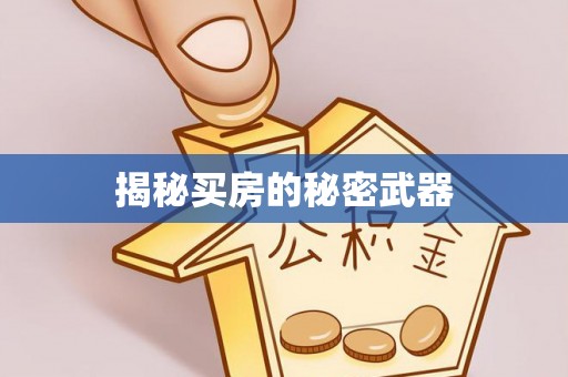 张店揭秘买房的秘密武器