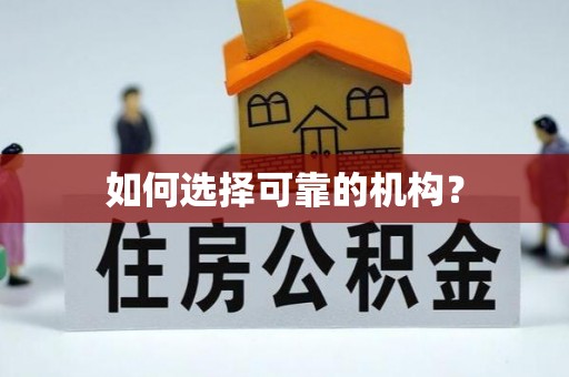 张店如何选择可靠的机构？