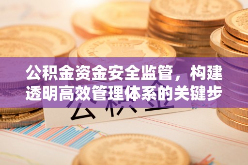 张店公积金资金安全监管，构建透明高效管理体系的关键步骤