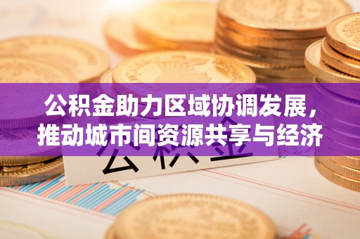 张店公积金助力区域协调发展，推动城市间资源共享与经济均衡发展