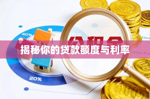 张店揭秘你的贷款额度与利率