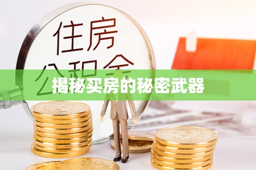张店揭秘买房的秘密武器