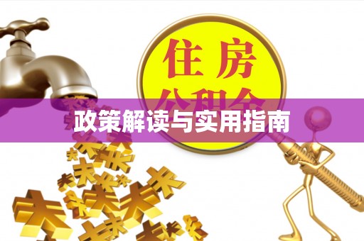 张店政策解读与实用指南