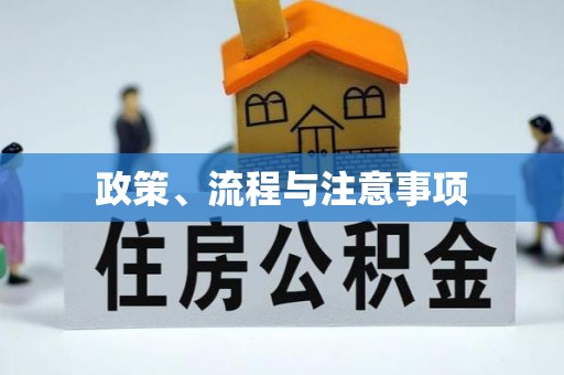 张店政策、流程与注意事项