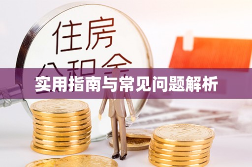 张店实用指南与常见问题解析