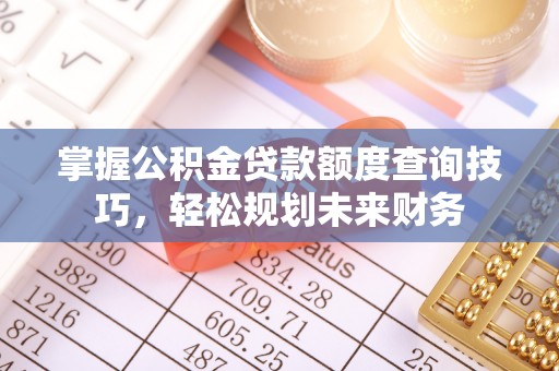 张店掌握公积金贷款额度查询技巧，轻松规划未来财务