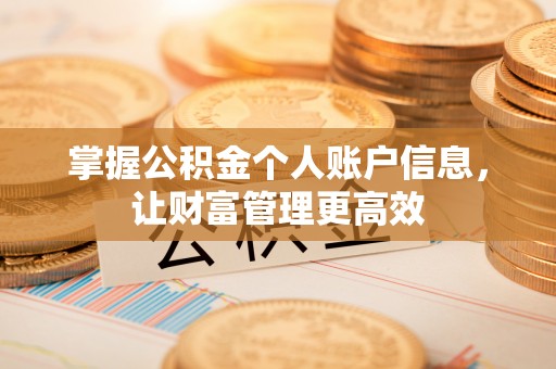 张店掌握公积金个人账户信息，让财富管理更高效