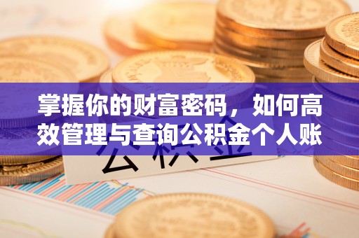 张店掌握你的财富密码，如何高效管理与查询公积金个人账户信息