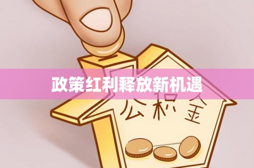 张店政策红利释放新机遇