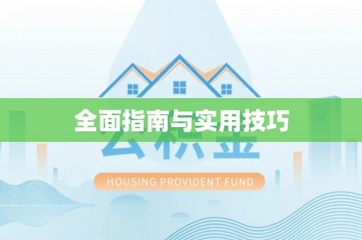 张店全面指南与实用技巧