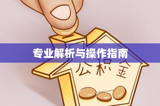 张店专业解析与操作指南