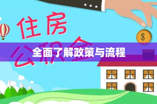 张店全面了解政策与流程