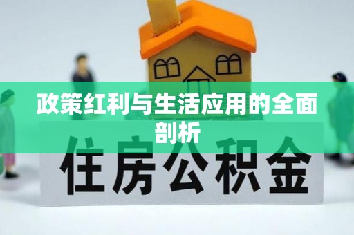 张店政策红利与生活应用的全面剖析