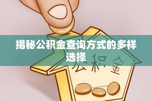 张店揭秘公积金查询方式的多样选择