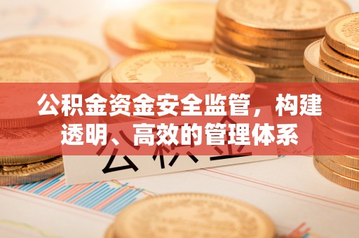 张店公积金资金安全监管，构建透明、高效的管理体系