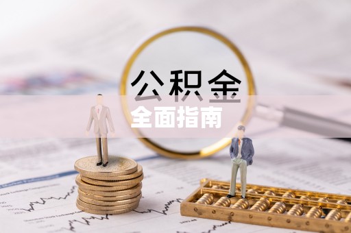 张店全面指南