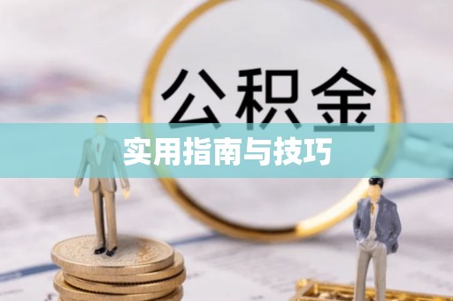 张店实用指南与技巧