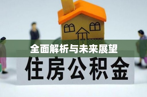 张店全面解析与未来展望