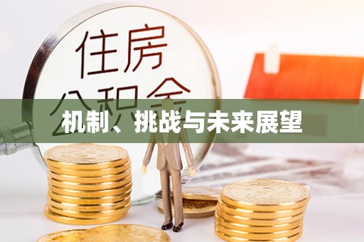 张店机制、挑战与未来展望
