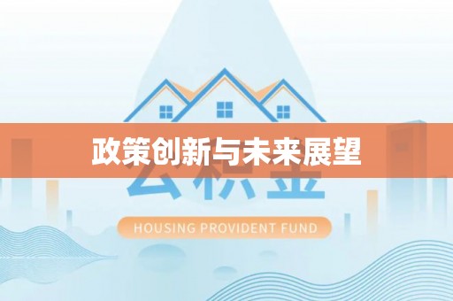 张店政策创新与未来展望