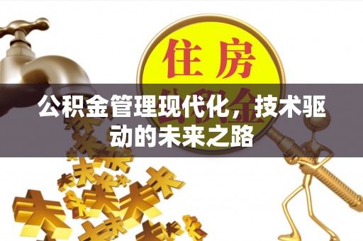 张店公积金管理现代化，技术驱动的未来之路