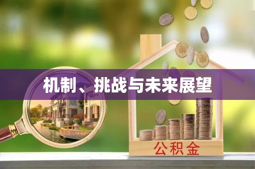 张店机制、挑战与未来展望